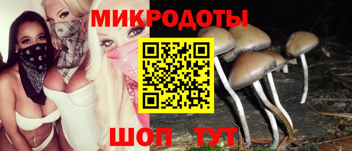как найти   Псилоцибиновые грибы Psilocybe  Вход с VPN  Обь 